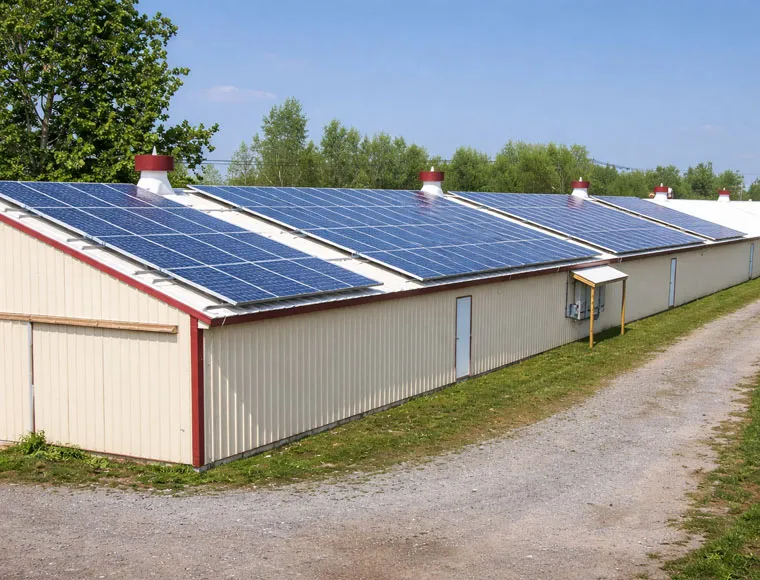 Heavy Duty Steel Structure Poultry House HDG Bolts Connection Steel Frame Farm Buildings