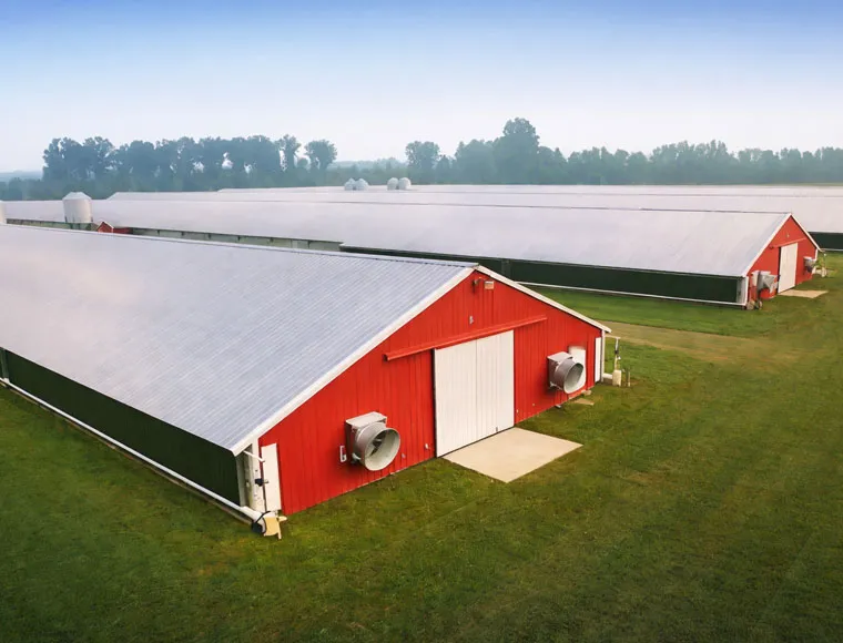 Modular Steel Structure Broiler House for Poultry Farm Projects