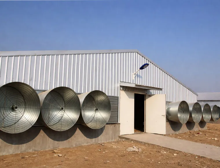 Heavy Duty Steel Structure Poultry House HDG Bolts Connection Steel Frame Farm Buildings