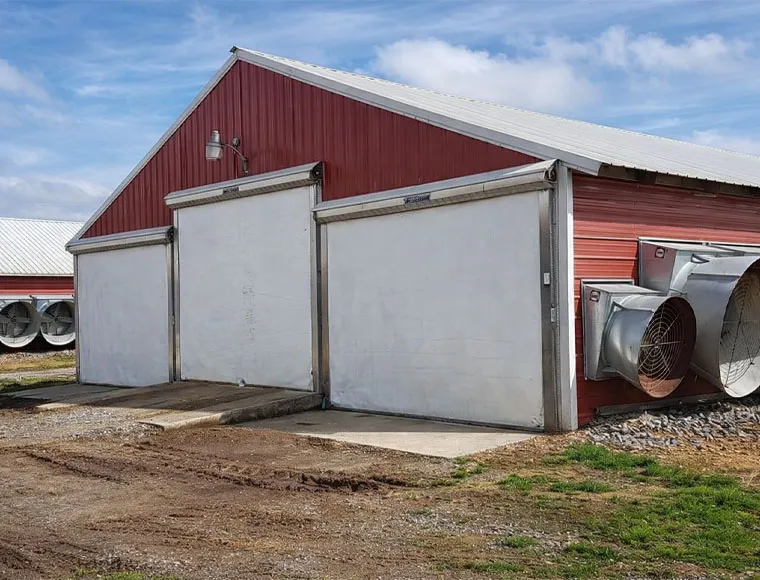 Heavy Duty Steel Structure Poultry House HDG Bolts Connection Steel Frame Farm Buildings