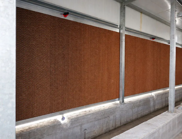 Customized Steel Chicken Farm , Light Steel Frame Farm Buildings