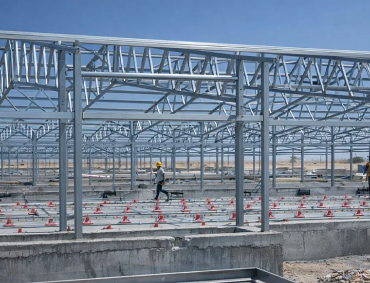 Customized Steel Chicken Farm , Light Steel Frame Farm Buildings