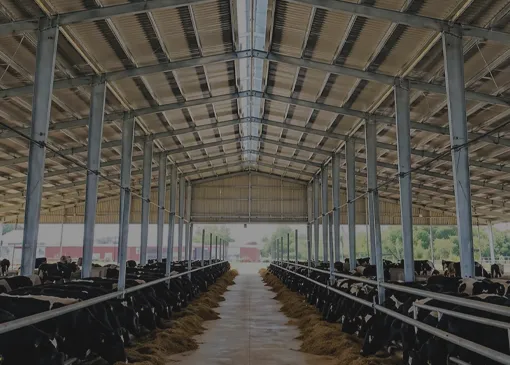 Catalog Steel Structure Poultry House