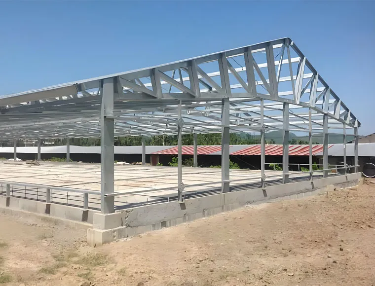 Modular Steel Structure Chicken House Broiler House Farm Shed Poultry Building Prefabricated Warehouse Buildings