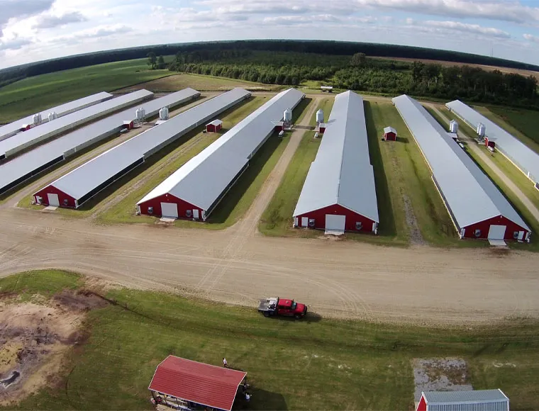 Modular Steel Structure Chicken House Broiler House Farm Shed Poultry Building Prefabricated Warehouse Buildings