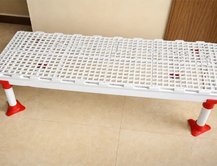 Easy Clean Plastic Slatted Floor Poultry House Customized Color