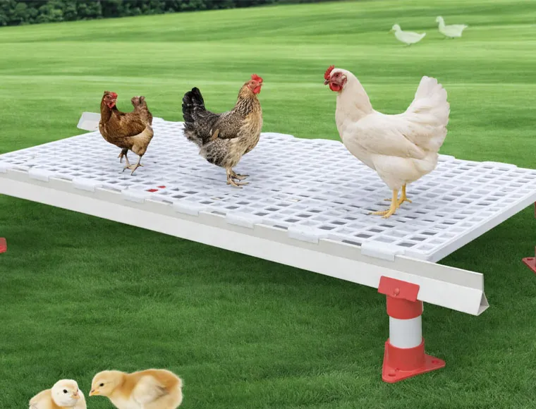 Easy Clean Plastic Slatted Floor Poultry House Customized Color