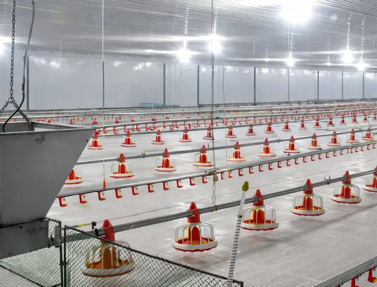 Easy Clean Plastic Slatted Floor Poultry House Customized Color