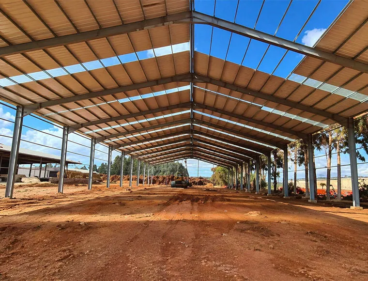 Multi Storey Steel Building