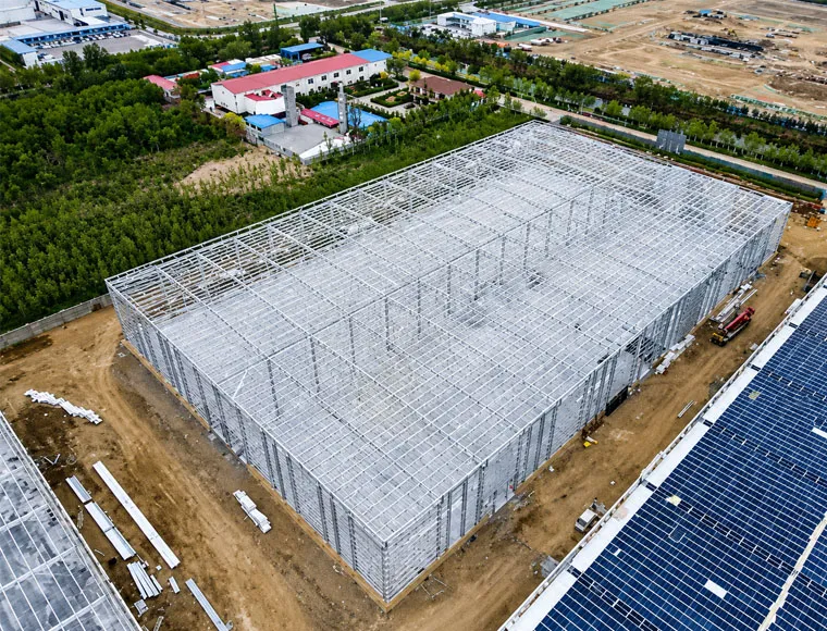 Durable Steel Frame Structure for Workshop and Factory Buildings