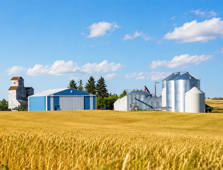 Heavy-Duty Pre-Engineered Agricultural Steel Buildings & Greenhouse Systems